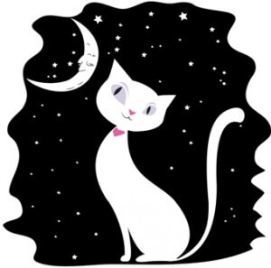 White cat on a black night sky, the stars and the moon,vector illustration,
