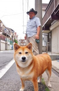 無類の動物好きである鈴木さん。現在も犬や猫を飼っています。写真は柴犬のポニーちゃん。