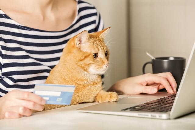 猫のためのお買い物をパソコンでする