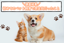 初めてのペット飼育で想定外だったことに関する調査